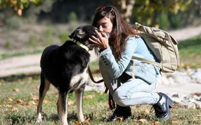 You won't recognize this dog today! Thanks to love and care, she turned into a beauty