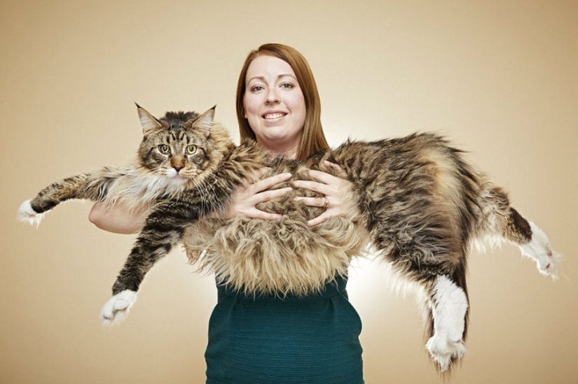 You won't believe it: new achievements included in the Guinness Book of Records