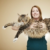 You won't believe it: new achievements included in the Guinness Book of Records