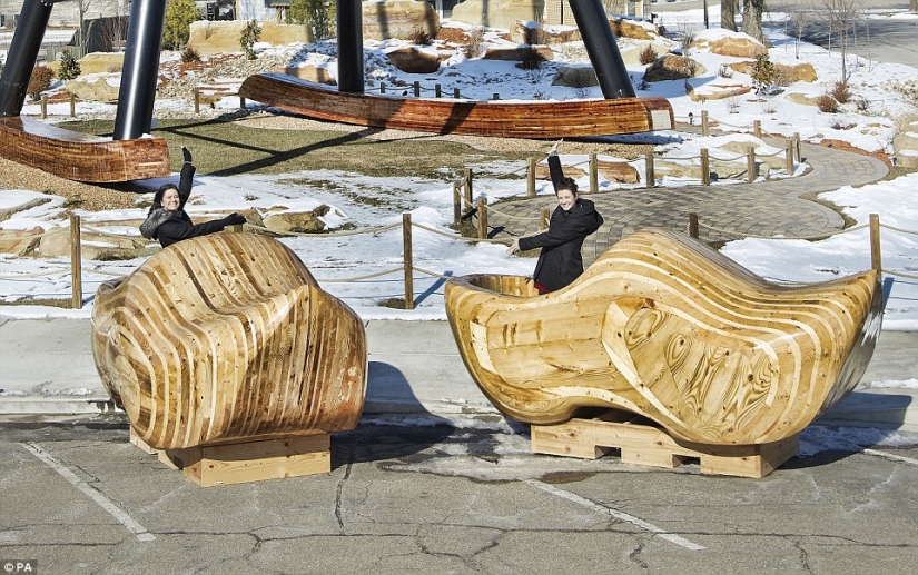 You won't believe it: new achievements included in the Guinness Book of Records