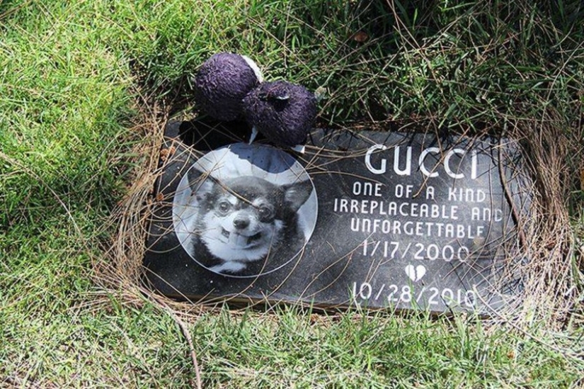 You'll Live Forever In Our Hearts: Los Angeles Pet Cemetery Photos