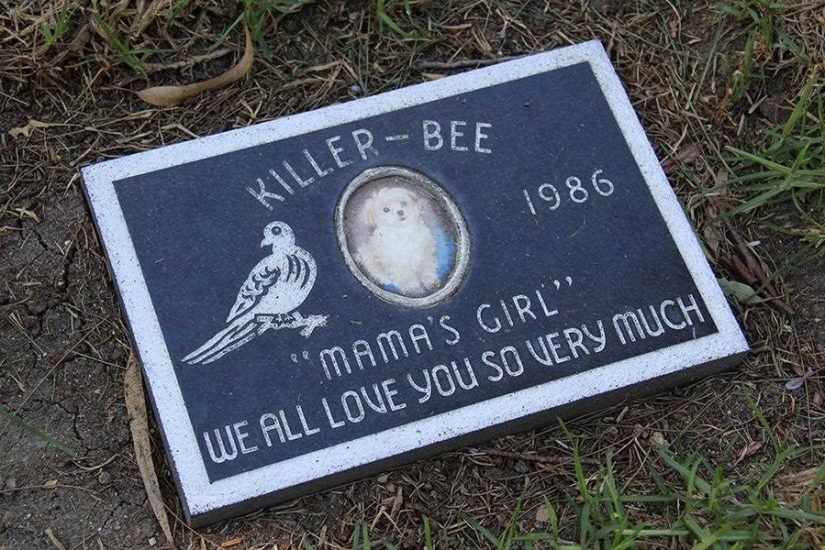 You'll Live Forever In Our Hearts: Los Angeles Pet Cemetery Photos You'll Live Forever In Our Hearts: Los Angeles Pet Cemetery Photos