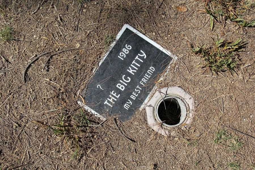 You'll Live Forever In Our Hearts: Los Angeles Pet Cemetery Photos You'll Live Forever In Our Hearts: Los Angeles Pet Cemetery Photos