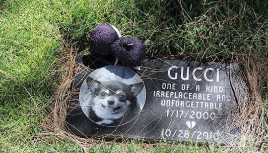 You'll Live Forever In Our Hearts: Los Angeles Pet Cemetery Photos