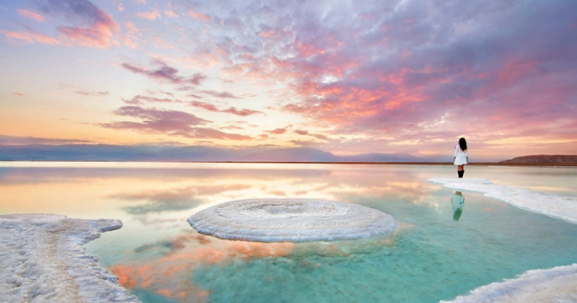 You'll never guess where: the mixing of world culture and nature in a small country in the middle East