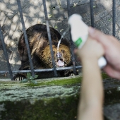 Zoo horrores de todo el mundo