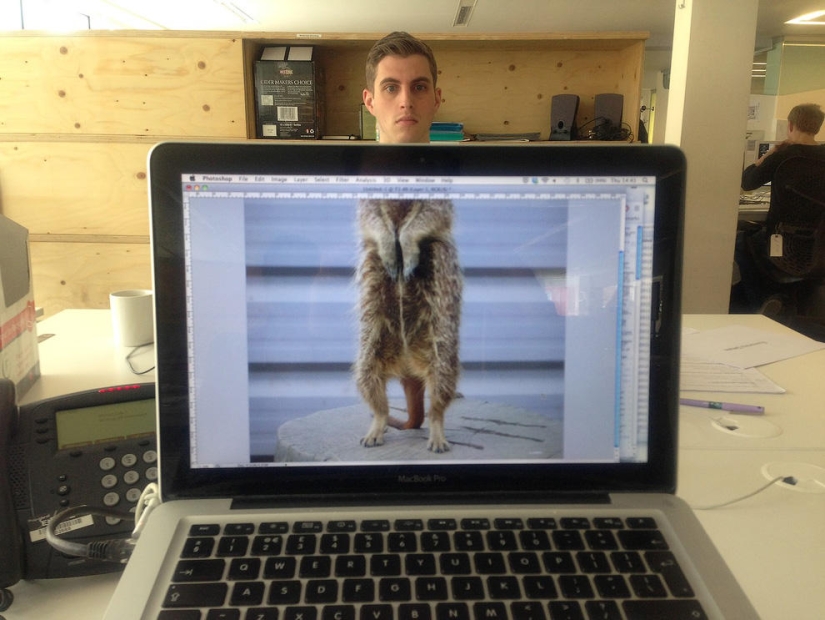 zoológico de oficina