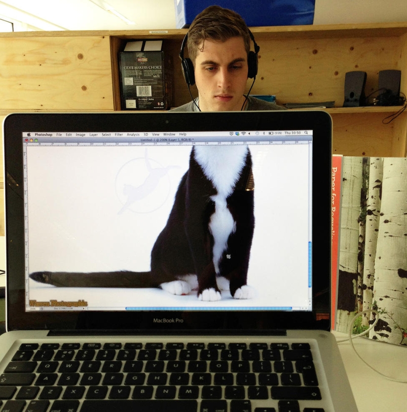 zoológico de oficina