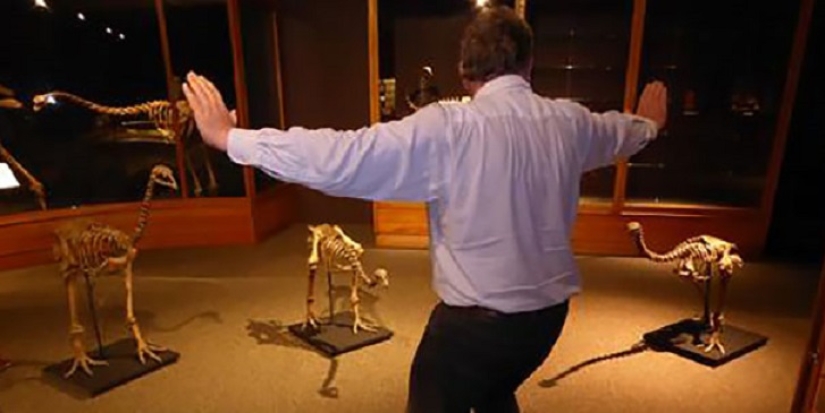 zoológico jurásico zoológico jurásico