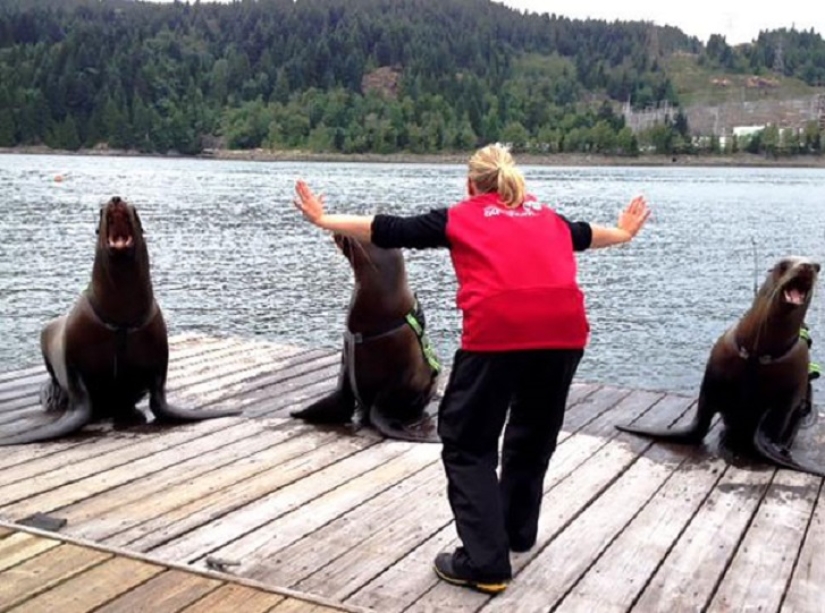 zoológico jurásico zoológico jurásico