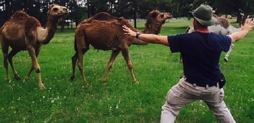 zoológico jurásico zoológico jurásico