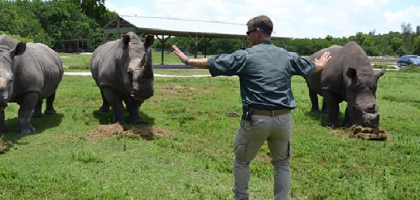 zoológico jurásico zoológico jurásico