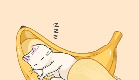 10 Adorable Cat Illustrations By This Artist That Are Taking Instagram By Storm 10 Adorable Cat Illustrations By This Artist That Are Taking Instagram By Storm