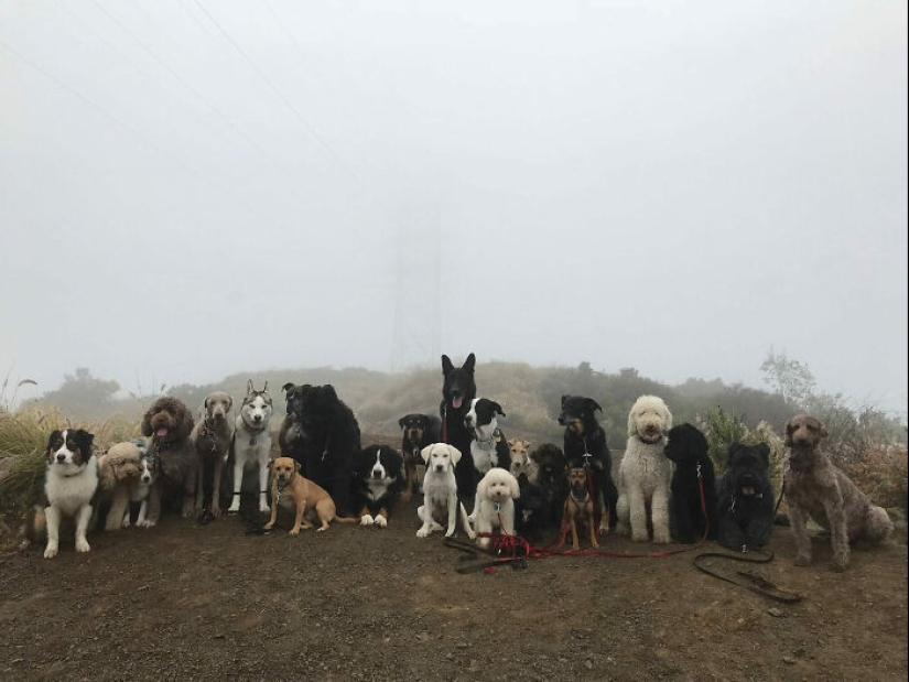10 Aesthetically Pleasing “Accidental Wes Anderson” Moments People Have Captured In Real Life