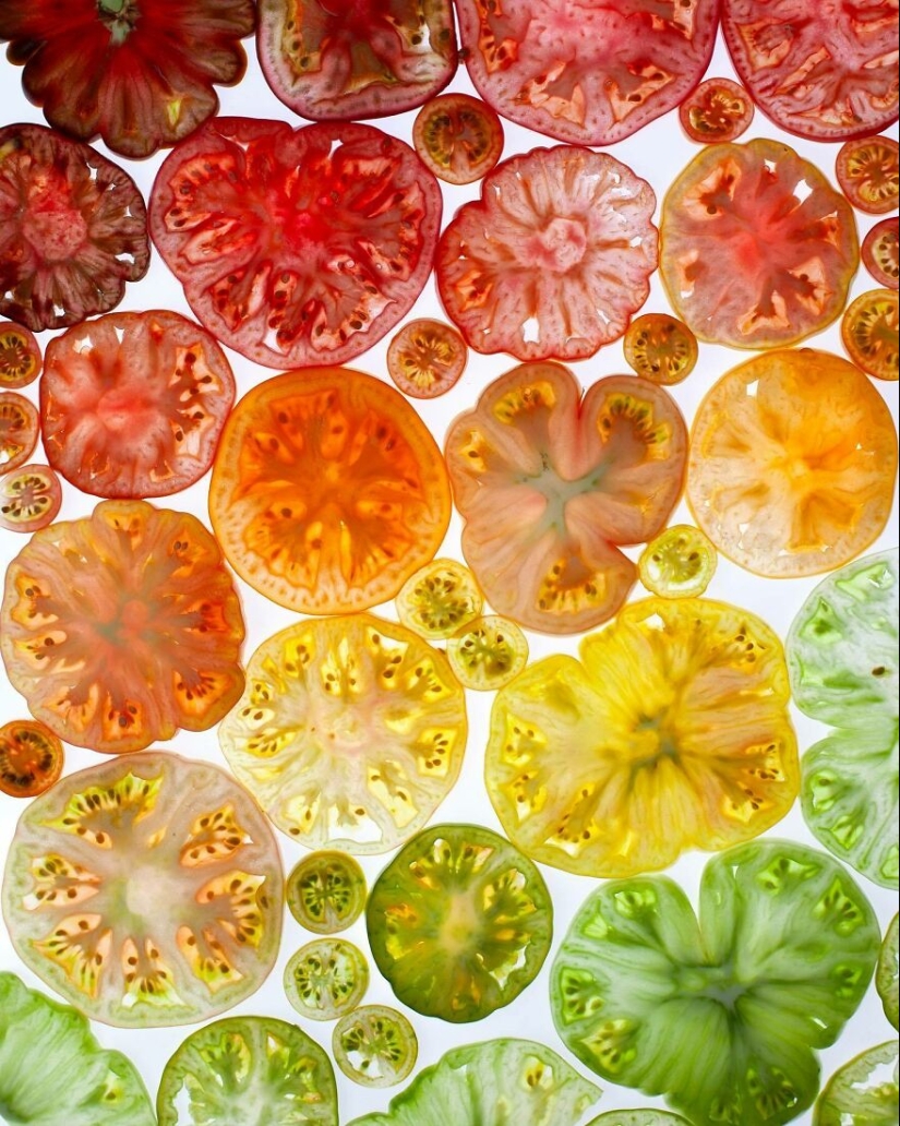 10 Captivating Gradient Photos Of Ordinary Items By Brittany Wright 10 Captivating Gradient Photos Of Ordinary Items By Brittany Wright