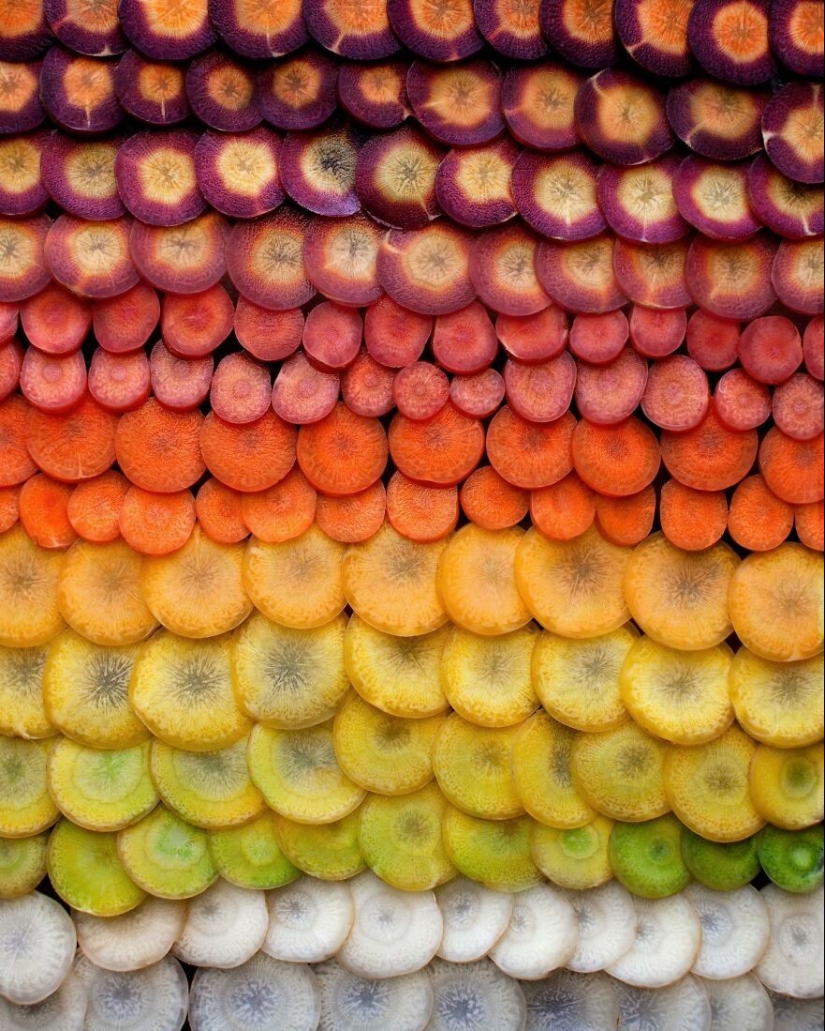 10 Captivating Gradient Photos Of Ordinary Items By Brittany Wright 10 Captivating Gradient Photos Of Ordinary Items By Brittany Wright