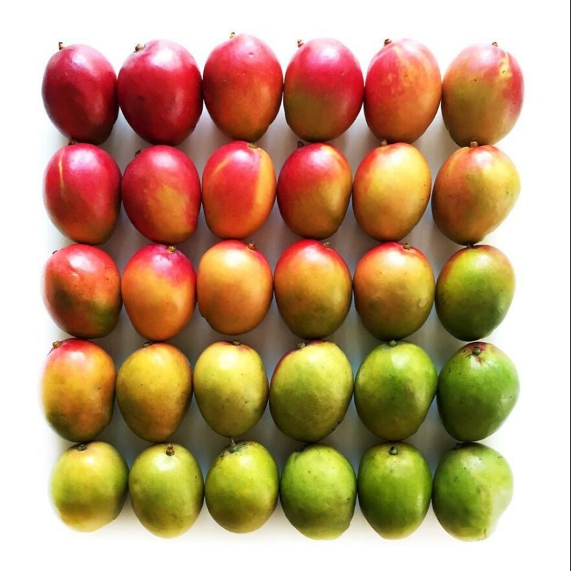 10 Captivating Gradient Photos Of Ordinary Items By Brittany Wright 10 Captivating Gradient Photos Of Ordinary Items By Brittany Wright