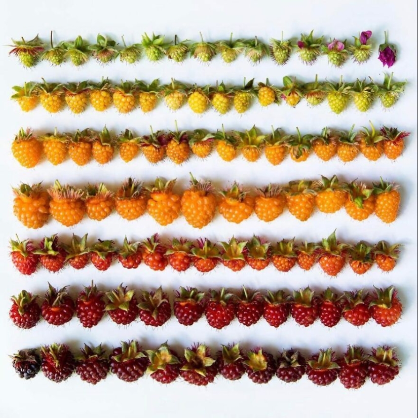 10 Captivating Gradient Photos Of Ordinary Items By Brittany Wright 10 Captivating Gradient Photos Of Ordinary Items By Brittany Wright