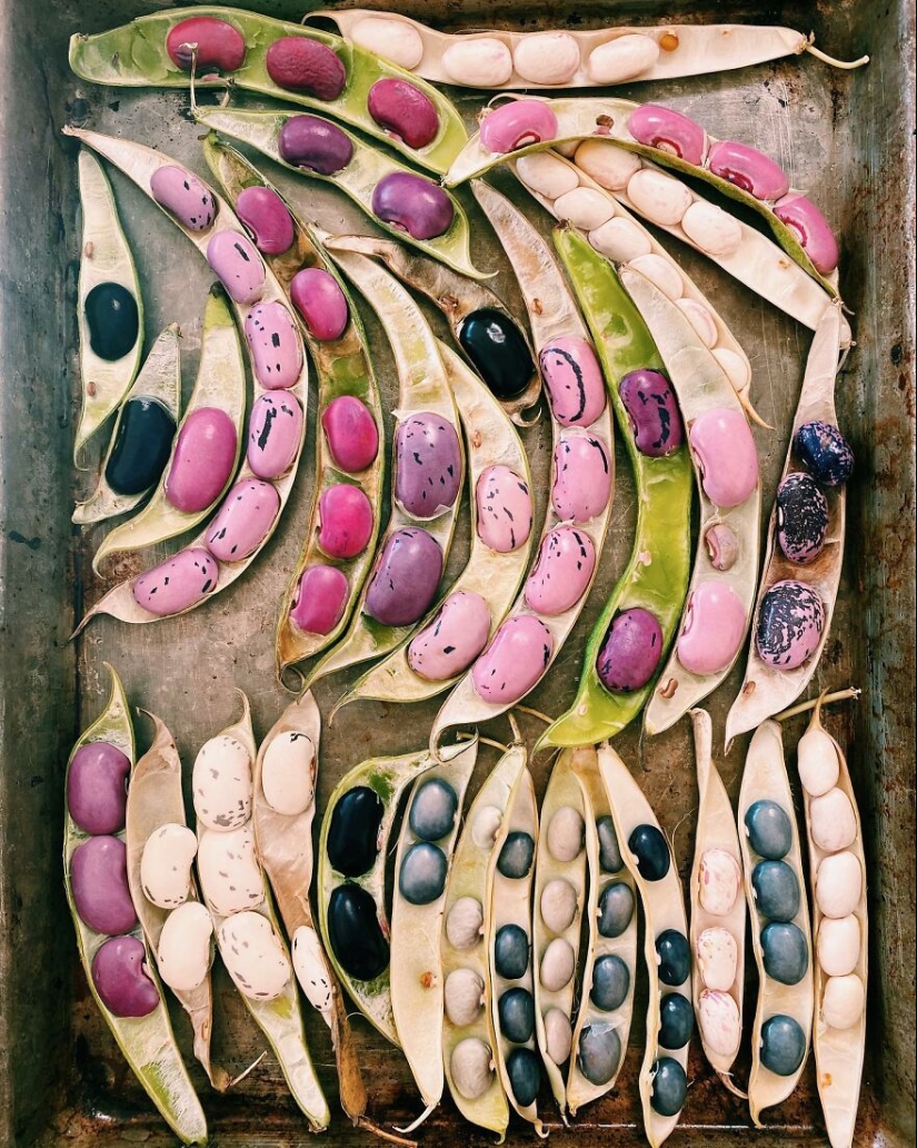 10 cautivadoras fotografías en degradado de artículos comunes por Brittany Wright 10 cautivadoras fotografías en degradado de artículos comunes por Brittany Wright