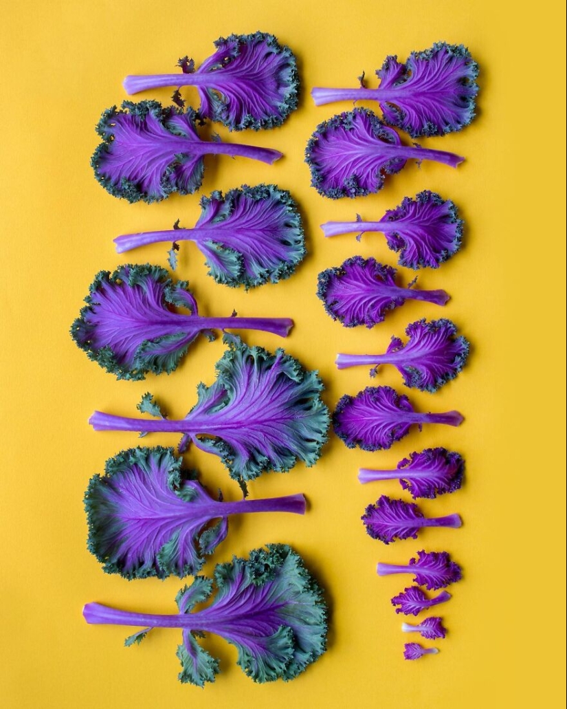 10 cautivadoras fotografías en degradado de artículos comunes por Brittany Wright 10 cautivadoras fotografías en degradado de artículos comunes por Brittany Wright