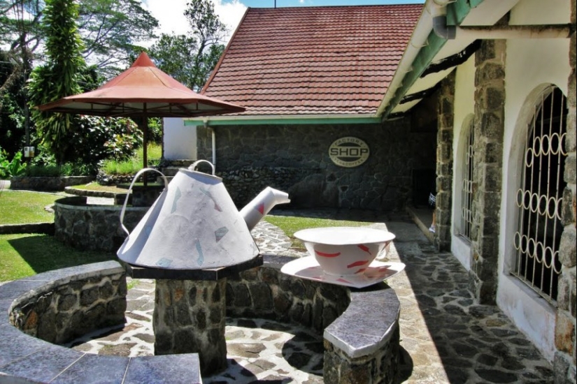 10 countries where they drink the most tea