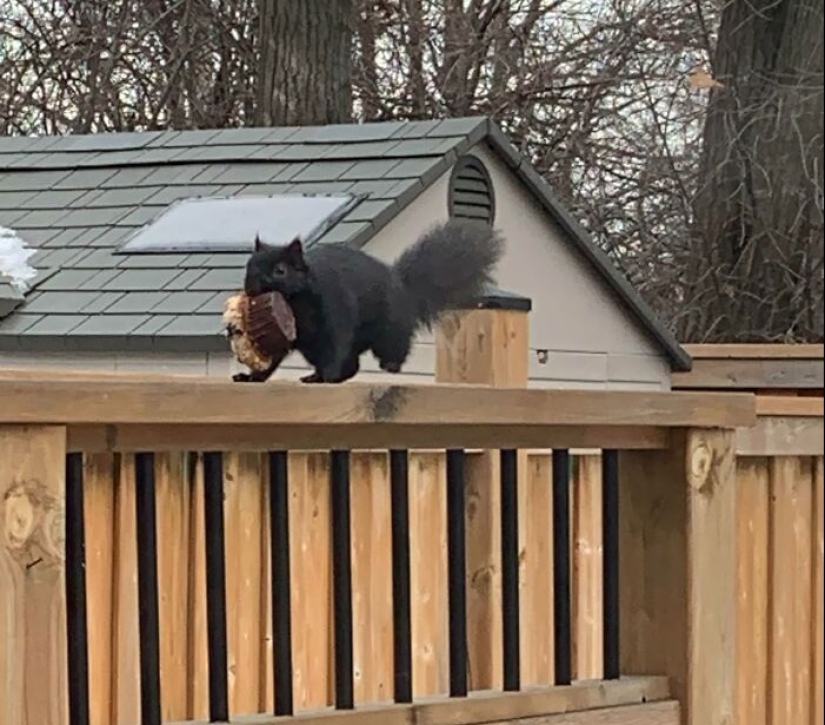 10 de las cosas más desafortunadas con las que la gente se vio obligada a lidiar