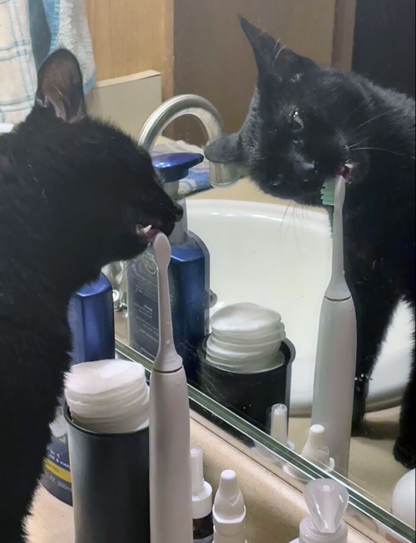 10 de las cosas más desafortunadas con las que la gente se vio obligada a lidiar