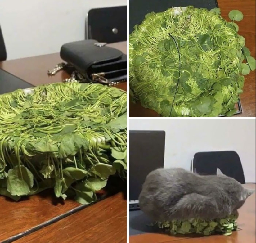 10 de las cosas más desafortunadas con las que la gente se vio obligada a lidiar