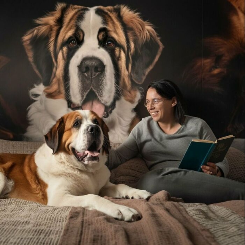 10 Dog Breeds With The Lowest Lifespans 10 Dog Breeds With The Lowest Lifespans