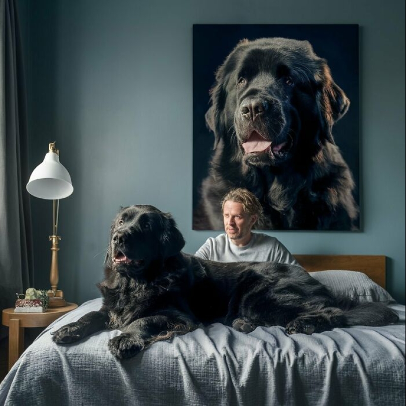 10 Dog Breeds With The Lowest Lifespans 10 Dog Breeds With The Lowest Lifespans