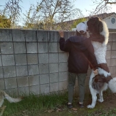 10 Dogs That Are Absolute Units And Don’t Know How Big They Are