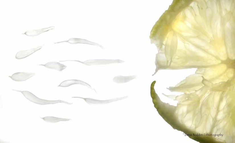 10 facts about human sperm