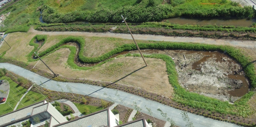 10 facts about human sperm