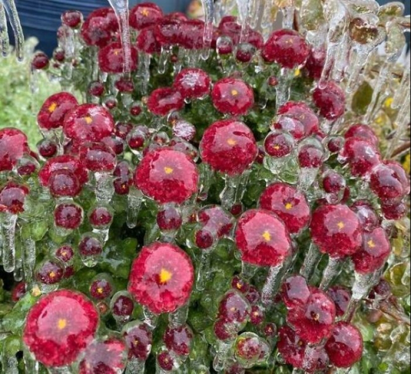 10 Fascinating And Terrifying Pics Of The Power Of Winter 10 Fascinating And Terrifying Pics Of The Power Of Winter