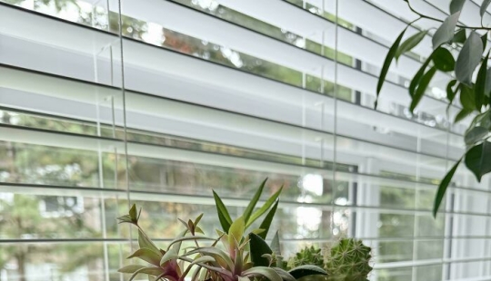 10 formas asombrosas en las que la gente decoró sus hogares que pueden inspirarte a hacer lo mismo 10 formas asombrosas en las que la gente decoró sus hogares que pueden inspirarte a hacer lo mismo