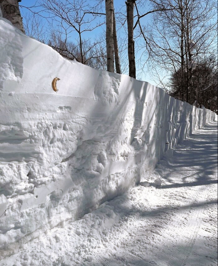 10 fotografías fascinantes y aterradoras del poder del invierno