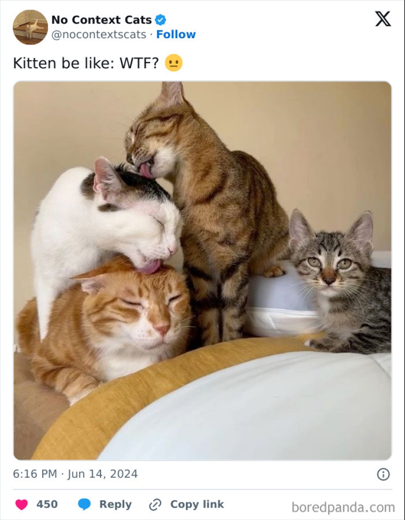 10 fotos de la página X "Fuera de contexto" para alegrar tu día