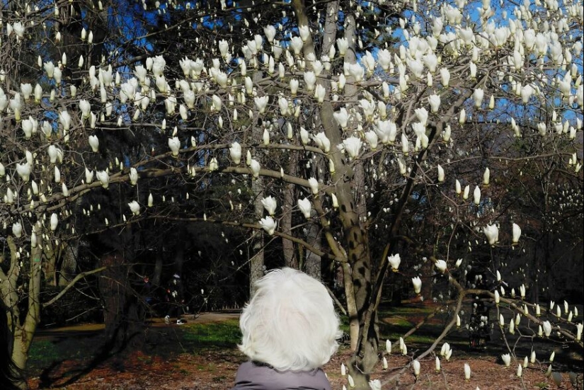 10 Funny Accidental Images That Were Taken At The Right Time And Place By This Street Photographer