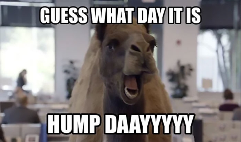10 Hump Day Memes That Perfectly Describe Your Wednesday