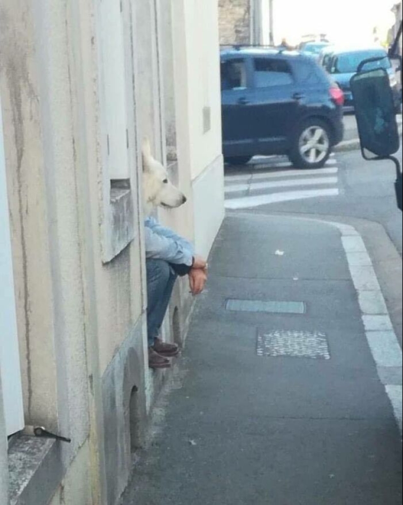 10 imágenes desquiciadas, inexplicables y desconcertantes