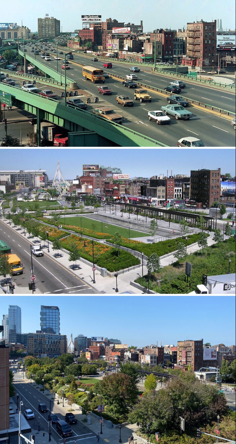 10 impresionantes fotografías de árboles que crecen y hacen que los espacios sean más verdes 10 impresionantes fotografías de árboles que crecen y hacen que los espacios sean más verdes