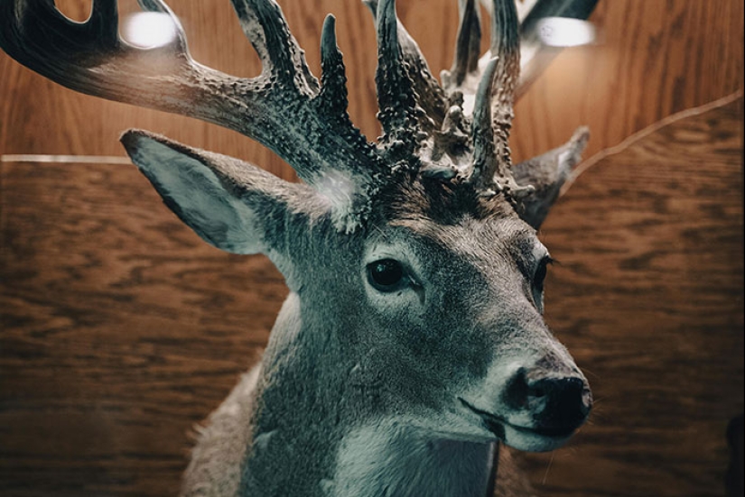 10 Modern-Day Signs Of Wealth That Will Most Likely Become Obsolete