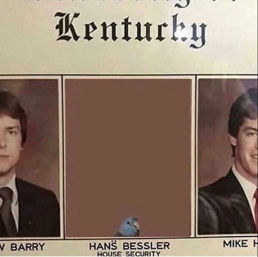 10 momentos estéticamente agradables de "Wes Anderson accidental" que la gente ha capturado en la vida real 10 momentos estéticamente agradables de "Wes Anderson accidental" que la gente ha capturado en la vida real