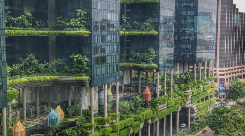 10 nuevas profesiones, que previamente podría parecer extraño para nosotros: la especial mamasam Pop-Up diseñador 10 nuevas profesiones, que previamente podría parecer extraño para nosotros: la especial mamasam Pop-Up diseñador