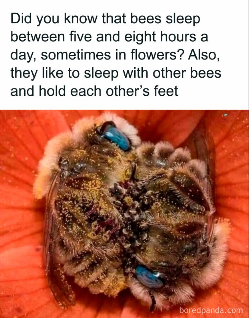 10 ocasiones en las que los estereotipos de género no tenían sentido, según lo que cuentan en Internet