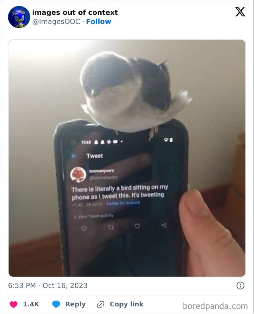 10 Of The Funniest Posts From “Images Out Of Context” Page 10 Of The Funniest Posts From “Images Out Of Context” Page