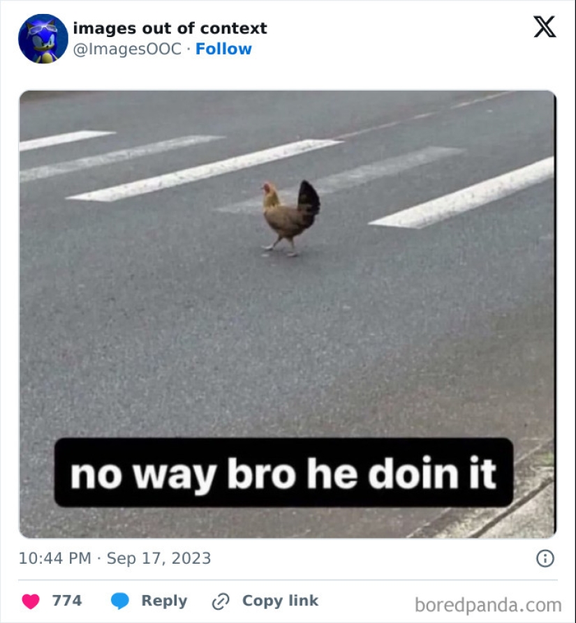10 Of The Funniest Posts From “Images Out Of Context” Page 10 Of The Funniest Posts From “Images Out Of Context” Page