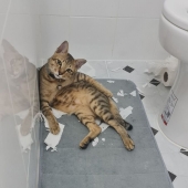 10 Of The Most Unfortunate Things That People Were Forced To Deal With