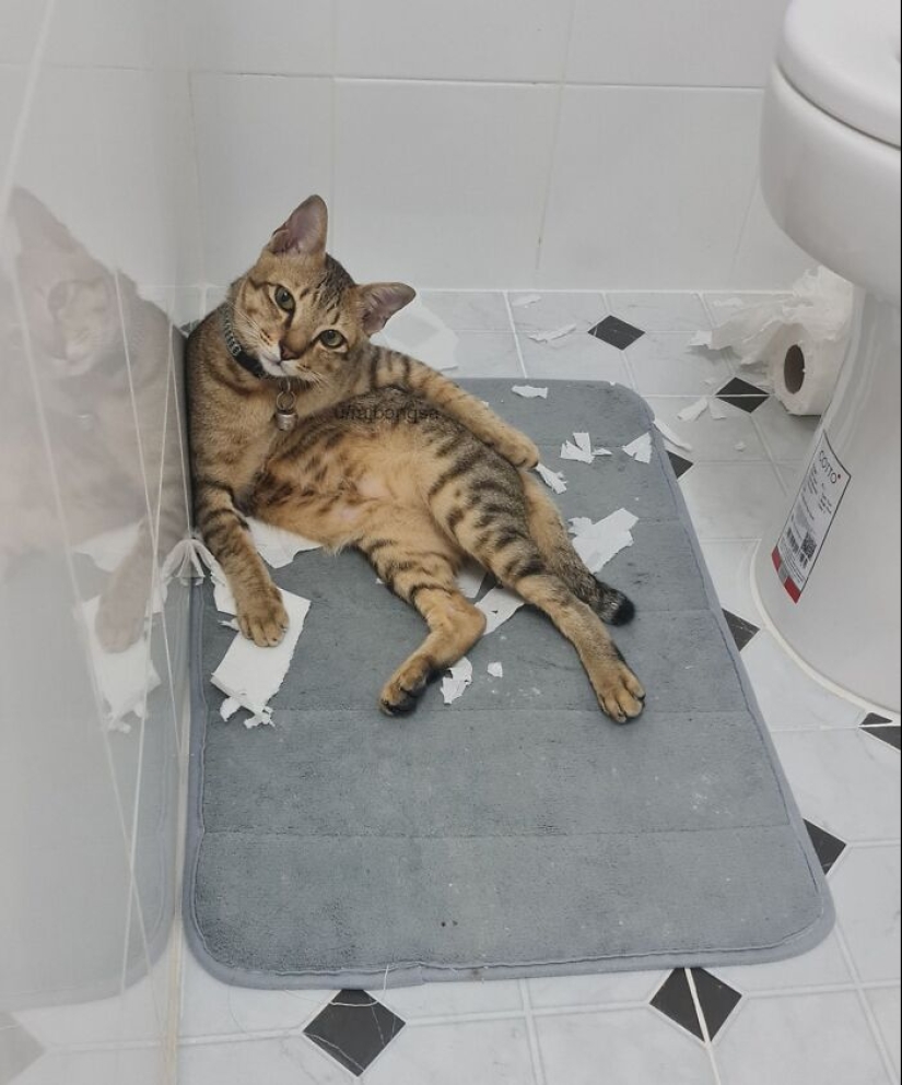 10 Of The Most Unfortunate Things That People Were Forced To Deal With 10 Of The Most Unfortunate Things That People Were Forced To Deal With