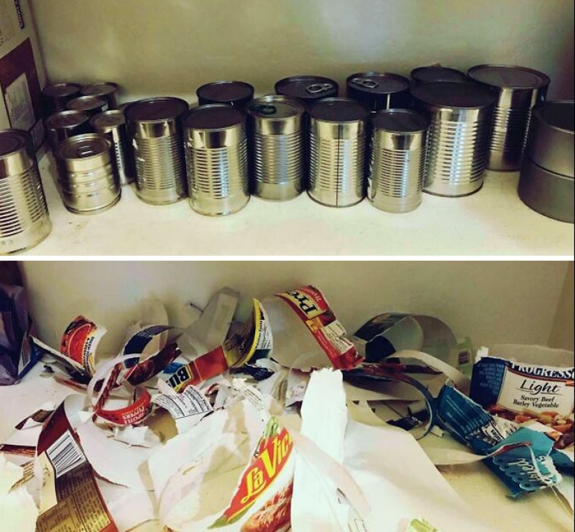 10 Parents Having A Pretty Miserable Day